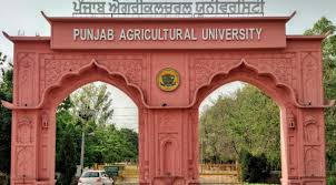 Top MSC Agriculture Colleges In Punjab