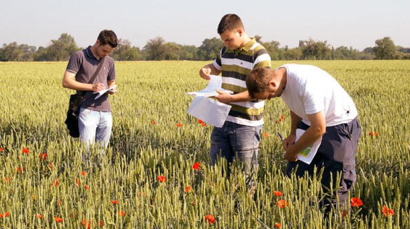 Top MSC Agriculture Colleges In Punjab