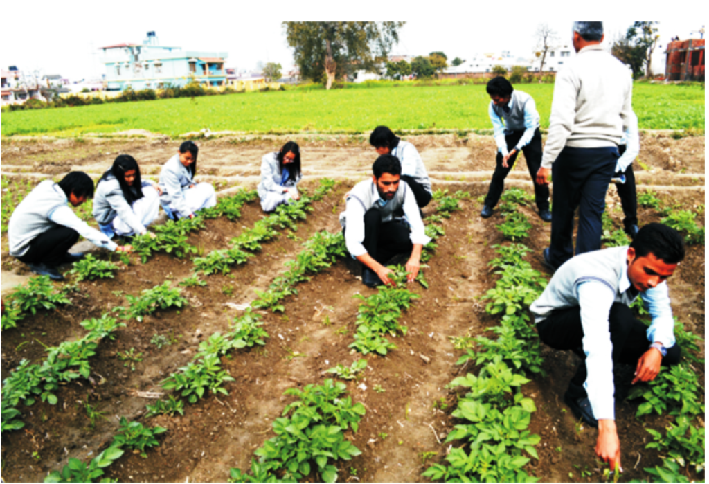 MSc Agronomy Colleges in Kerala