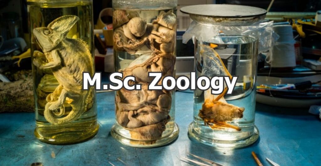 MSc Zoology Colleges in South India