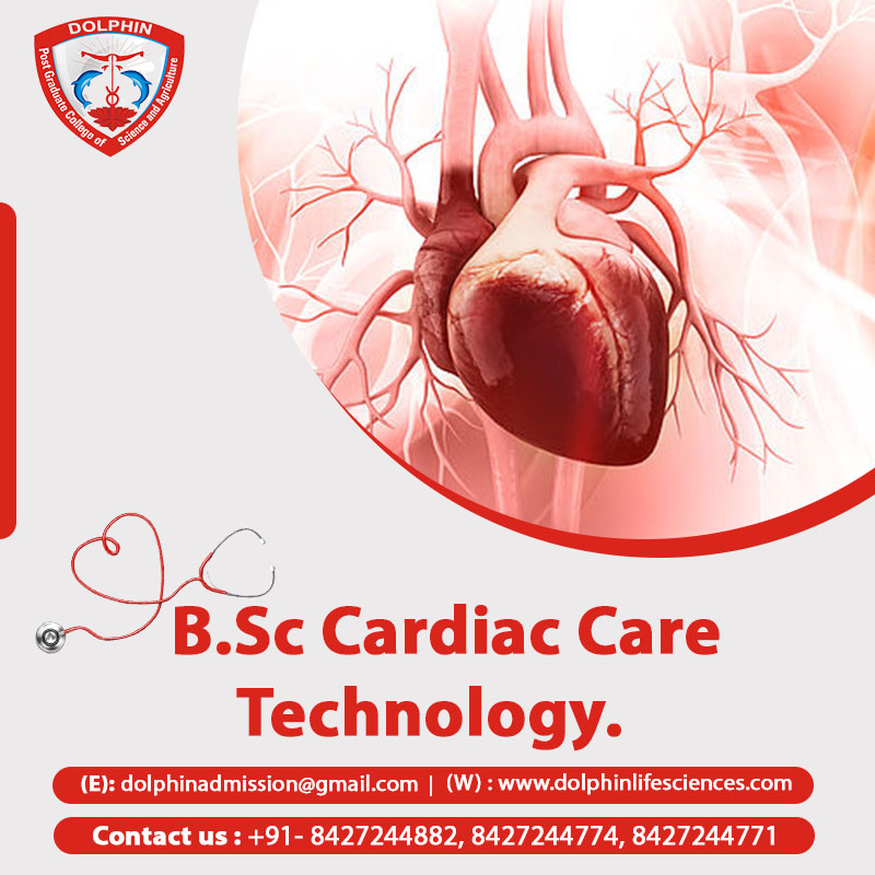 Bsc Cardiac Care Technology Salary in India
