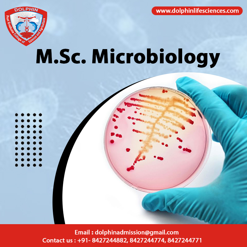 MSc Microbiology salary in India