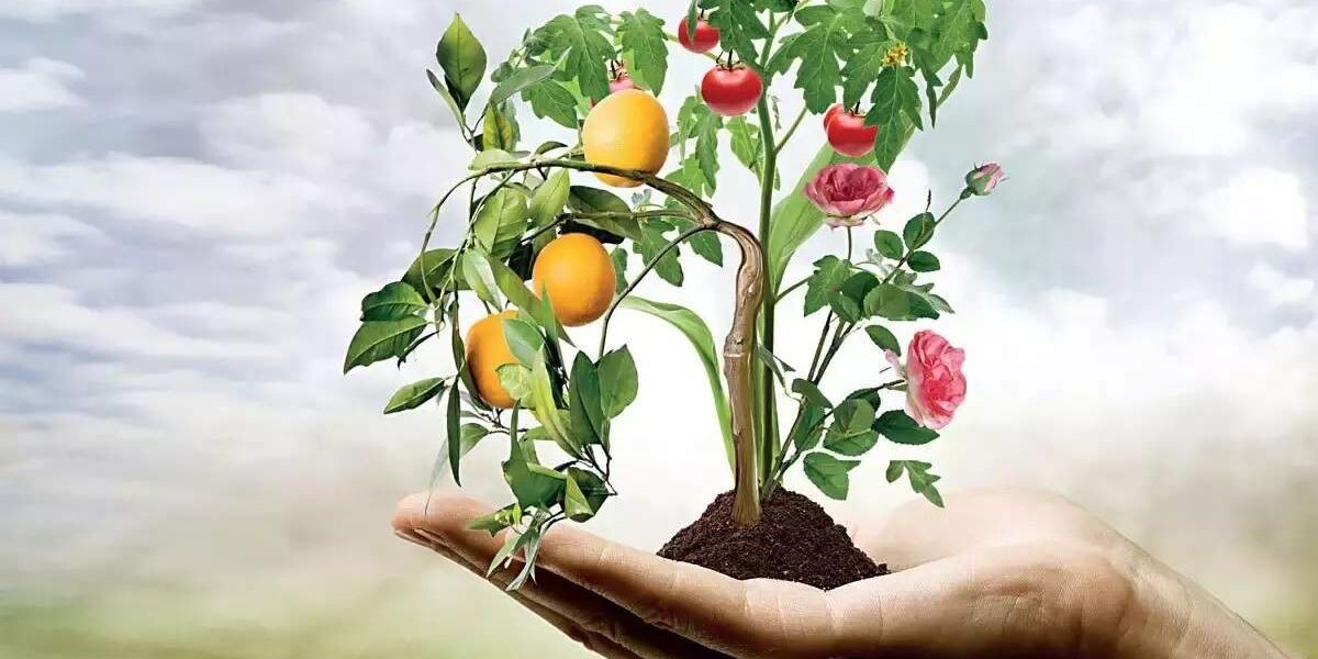 MSc Horticulture Fruit Science Colleges in Himachal Pradesh
