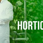 MSc Horticulture Vegetable Science Colleges in Punjab