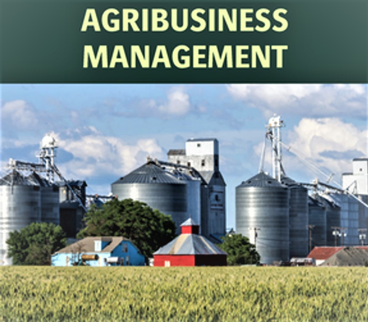 BSc Agri-Business Management Colleges in Punjab
