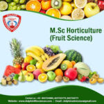 M.Sc Horticulture Fruit Science Salary