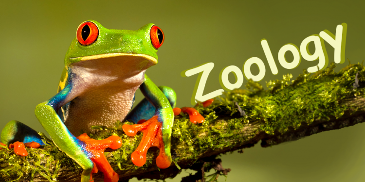 Zoology Scope In India