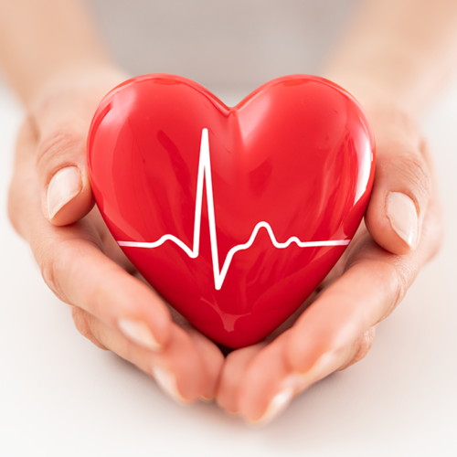 msc-cardiac-care-technology-scope-salary-in-india
